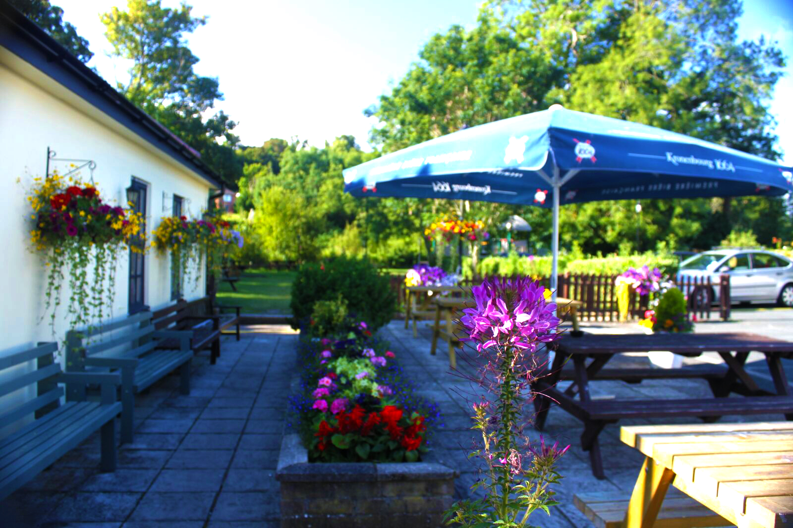 Sunny Eight bells Garden